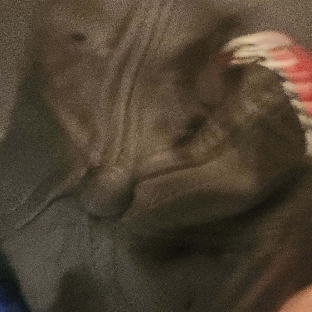 Chicago Bulls black trucker hat - Picture 10 of 12